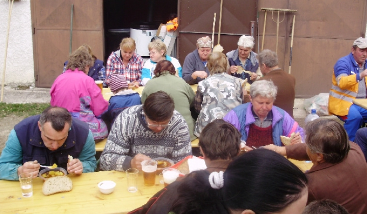 Upratovanie 2011